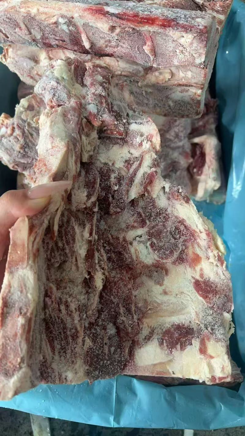 牛腰椎骨抄码