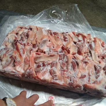 母猪一根筋