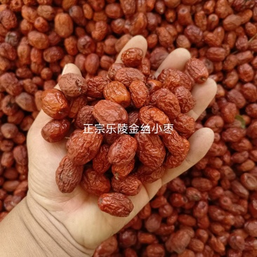 产地直发，正宗乐陵金丝小枣，常年有货，甜度高，肉厚核小，