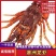 澳龙虾冰鲜奥龙生冻新西兰纽龙虾非红龙速冻特大龙虾海鲜餐厅