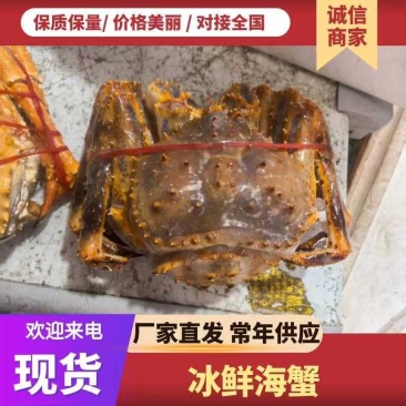 批发冰冻帝王蟹，生冻帝王蟹一手货源，全国可以发货。