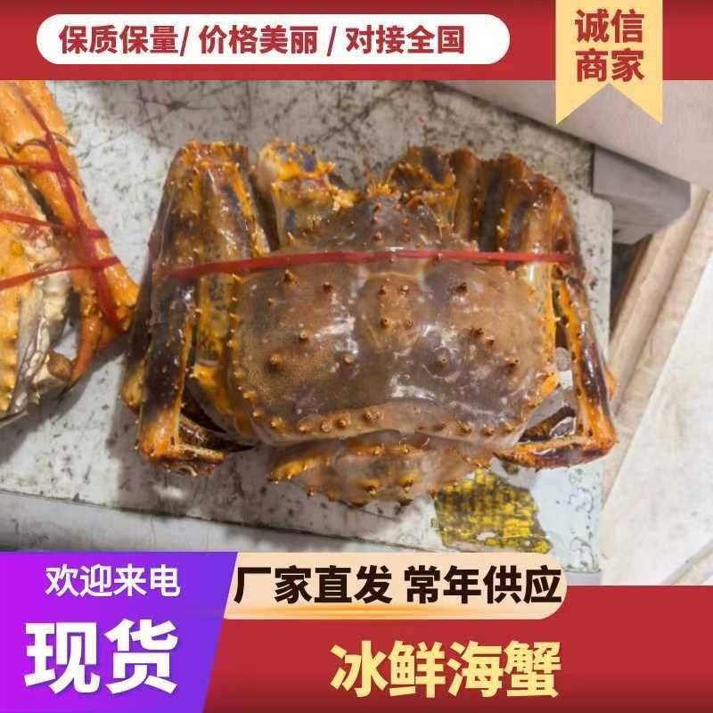 批发冰冻帝王蟹，生冻帝王蟹一手货源，全国可以发货。