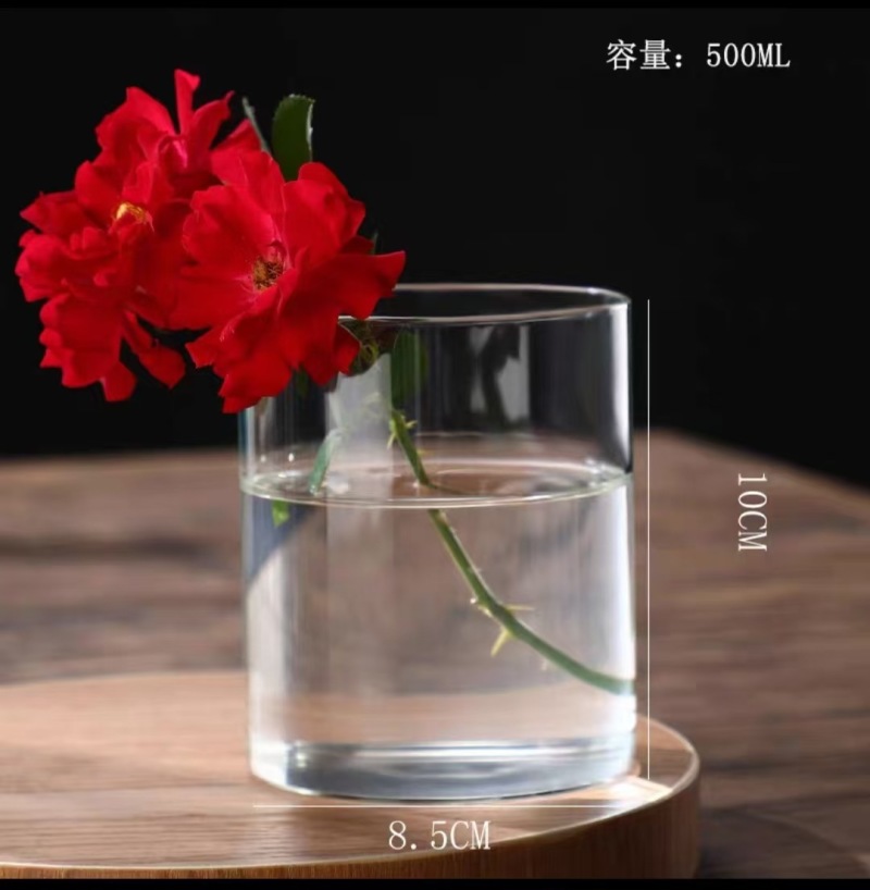 玻璃花瓶直桶玻璃水培花瓶