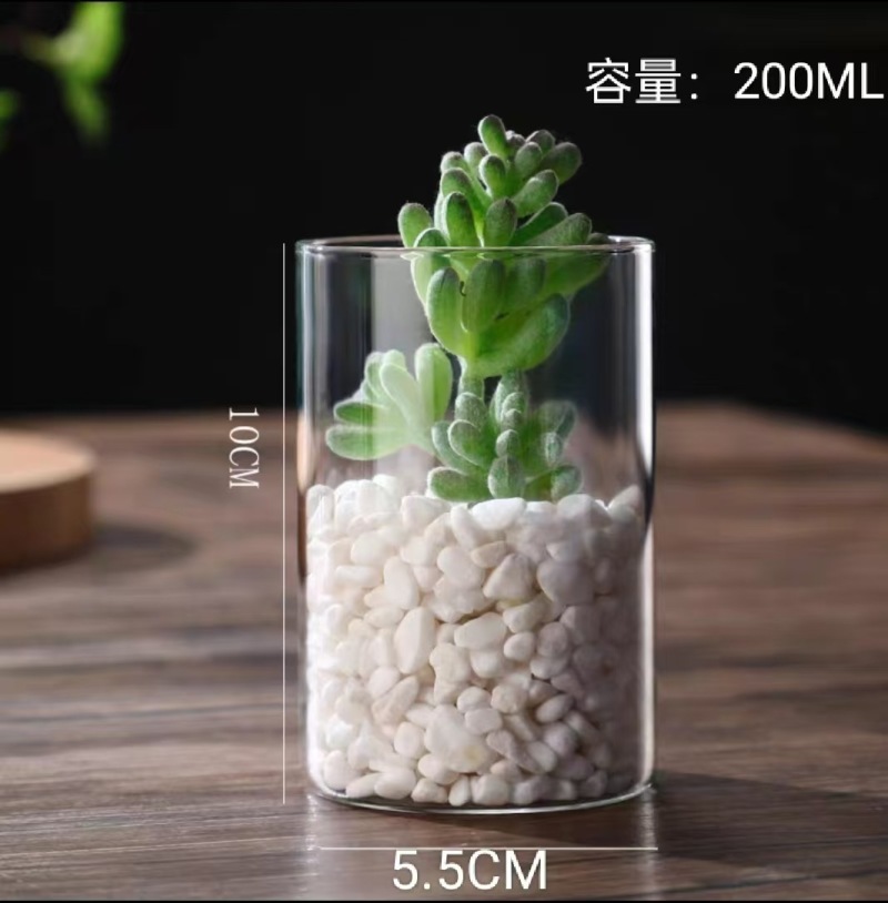玻璃花瓶直桶玻璃水培花瓶
