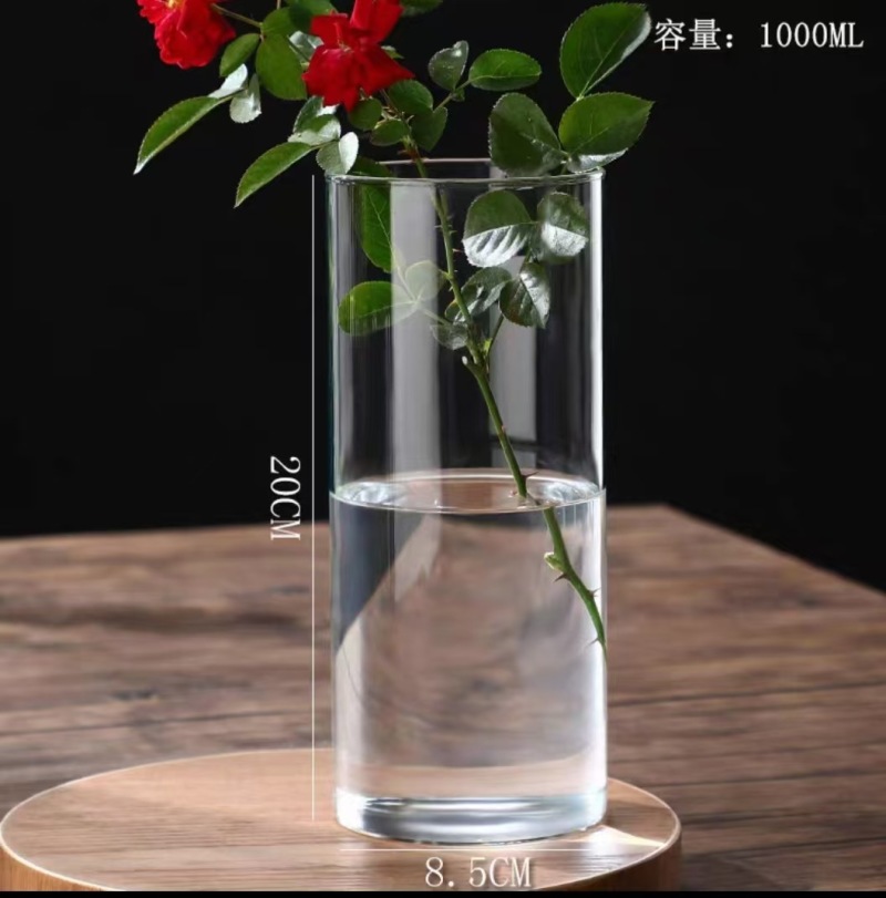 玻璃花瓶直桶玻璃水培花瓶
