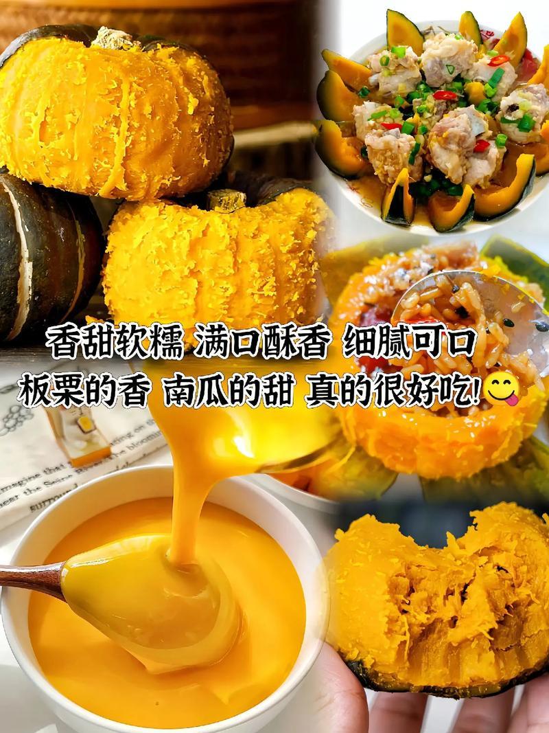 沙漠贝贝南瓜