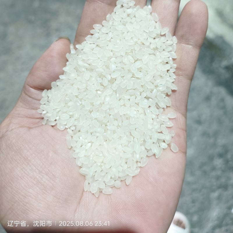 新粮东北珍珠米白包1.87特价出