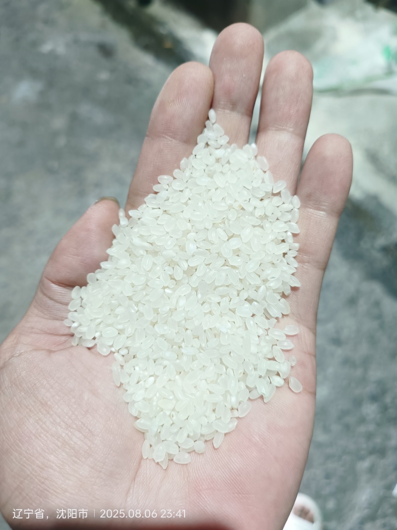 新粮东北珍珠米白包1.87特价出