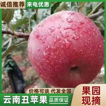 云南昭通丑苹果产地直供质量好价格低全国发货欢迎咨询
