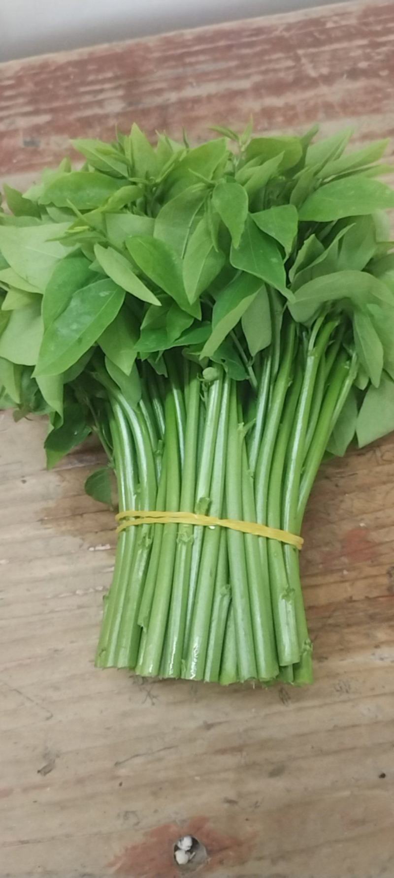 精品树仔菜
