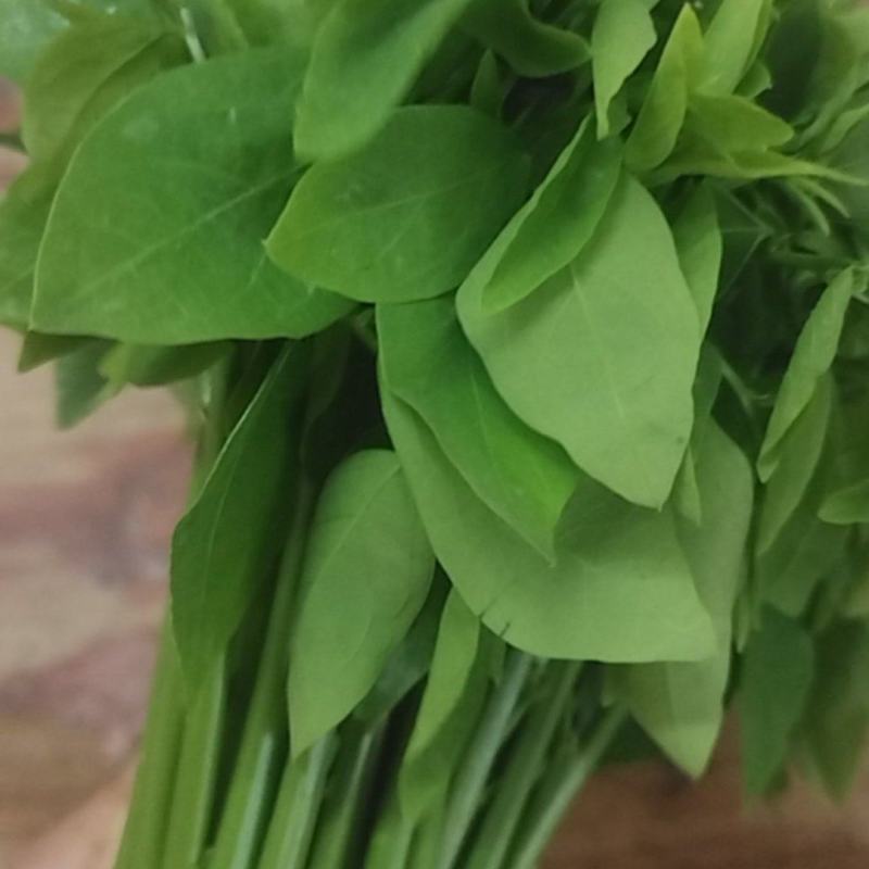 精品树仔菜