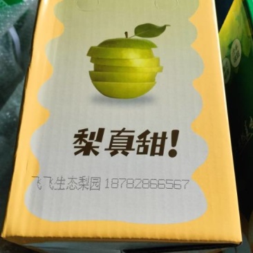 飞飞，生态梨园，自产自销