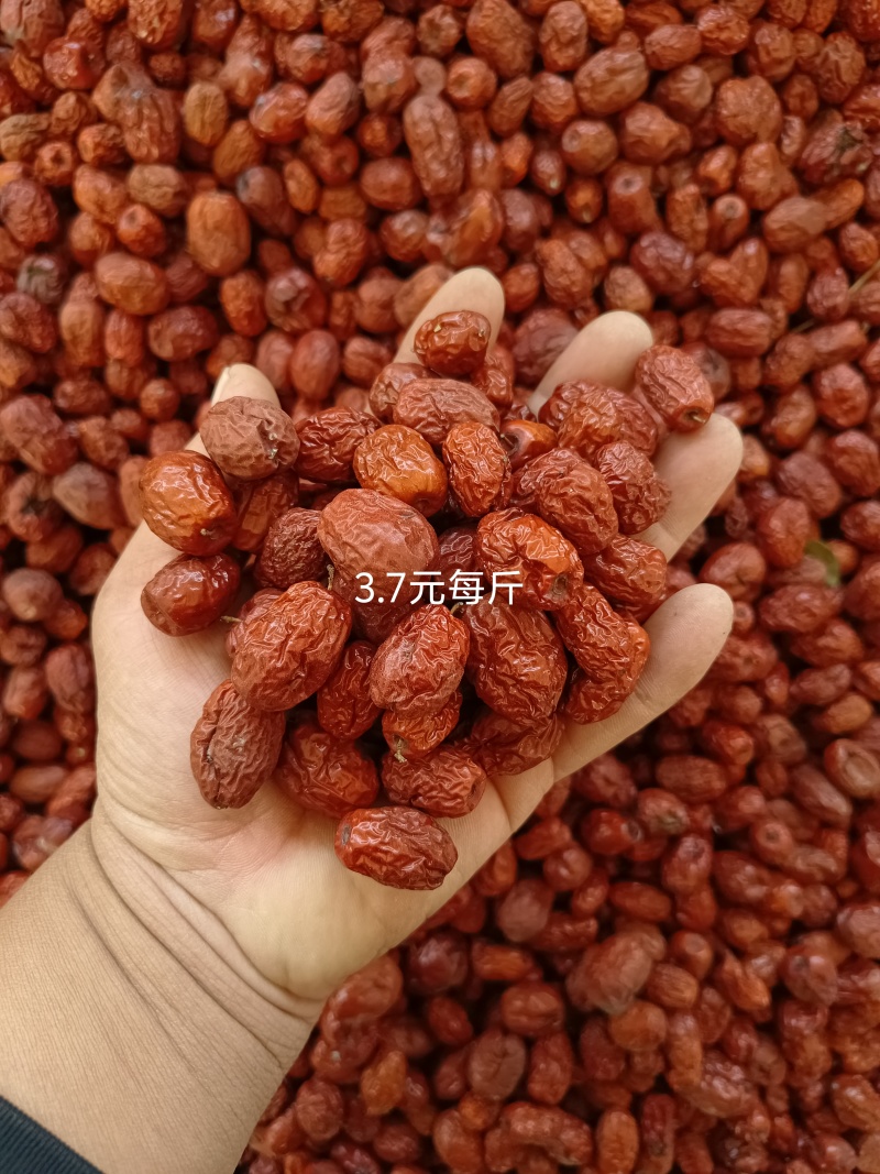 产地直发，正宗乐陵金丝小枣，常年有货，甜度高，肉厚核小，