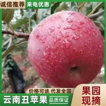 昭通丑苹果拒绝打蜡，高原冰糖心脆甜多汁，丑苹果界天花板！