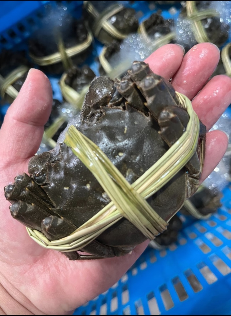 精品六月黄