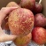 昭通丑苹果拒绝打蜡，高原冰糖心脆甜多汁，丑苹果界天花板！