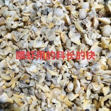 花虾饵料，基围虾饵料，金刚虾饵料，水产饲料，花蛤肉饵料