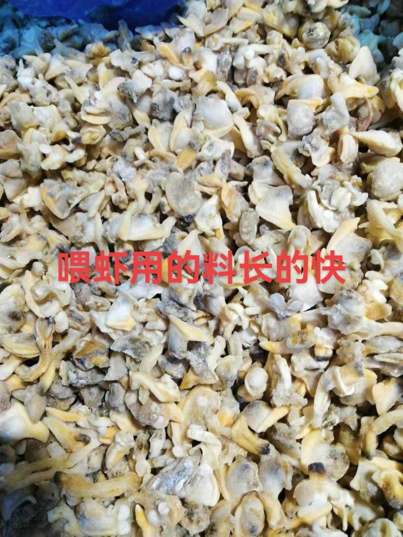 花虾饵料，基围虾饵料，金刚虾饵料，水产饲料，花蛤肉饵料