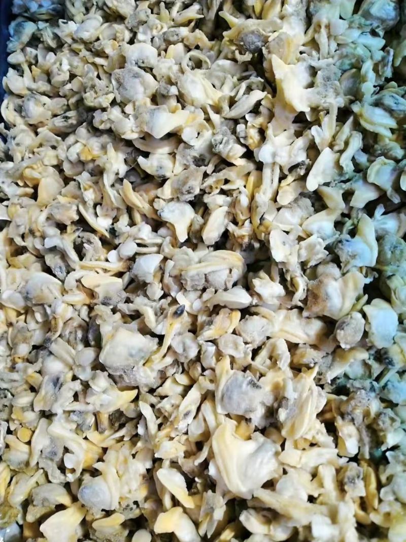 花虾饵料，基围虾饵料，金刚虾饵料，水产饲料，花蛤肉饵料