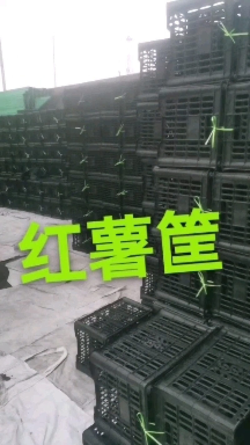 水果筐，蘑菇筐各种尺寸，厂家大量批发现货，！！！！！！