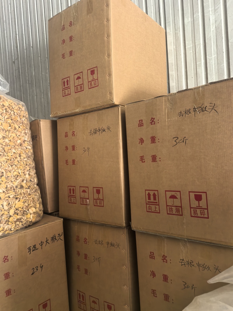 猴头菇黑龙江一手货源对接全国市场热卖中一手货源大卖1