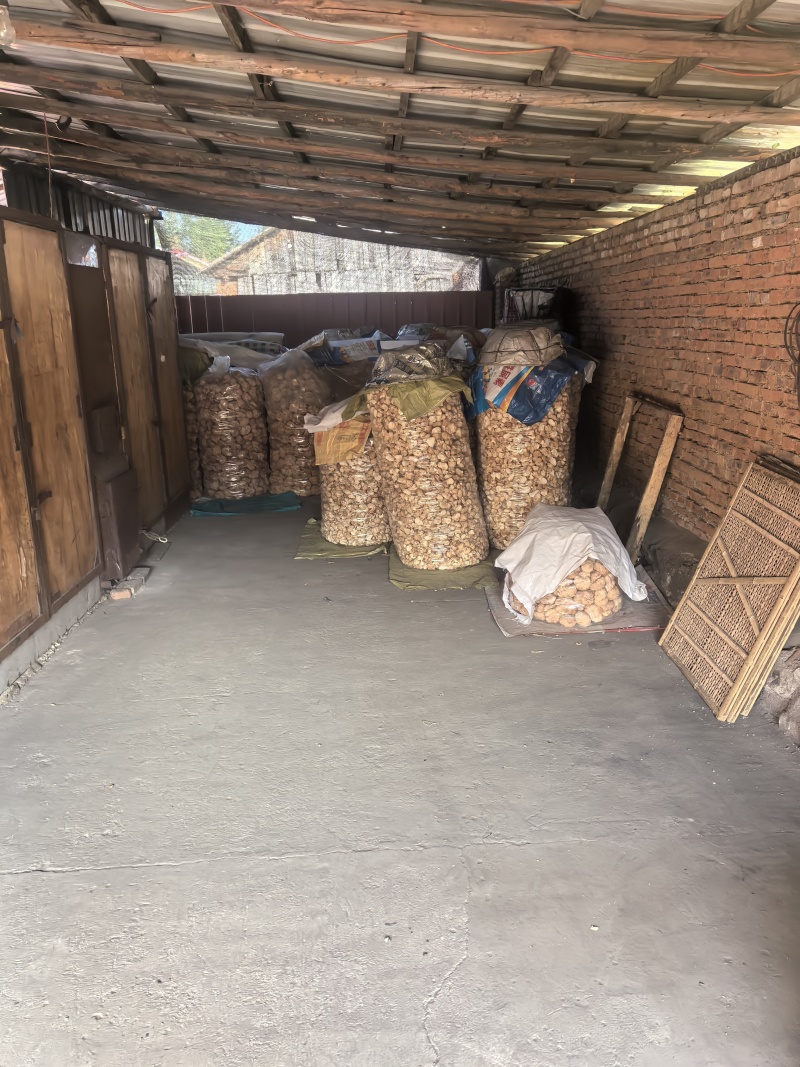 猴头菇黑龙江一手货源对接全国市场热卖中一手货源大卖1