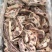 白油牛胸骨