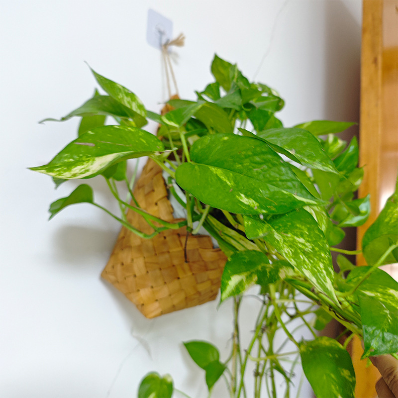 编织花篮挂墙壁挂式厨房姜蒜收纳杂货阳台绿植吊篮筐挂盆挂式