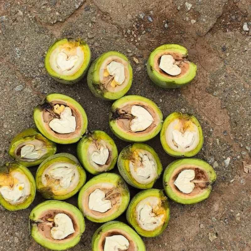 40起步杂果