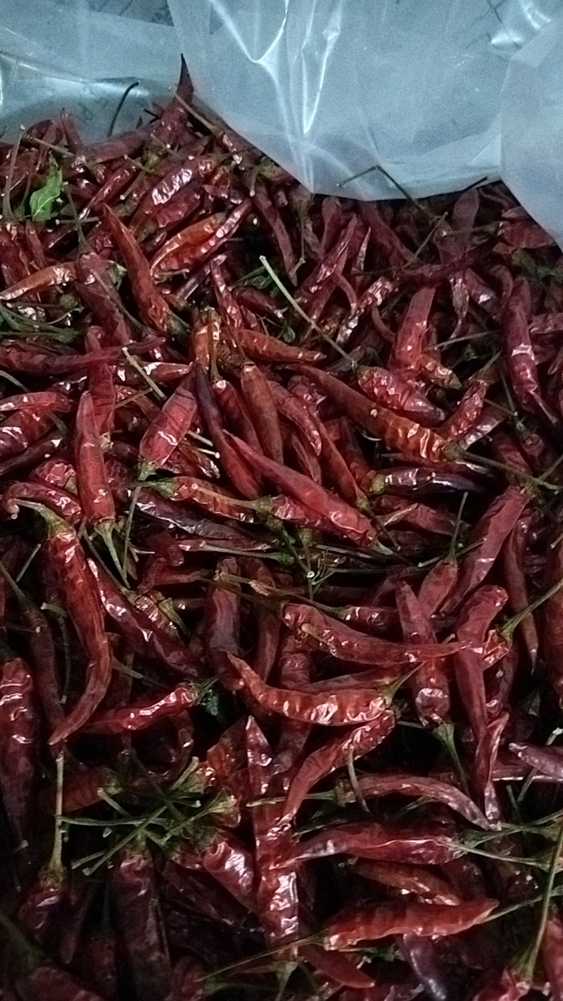 干小米辣