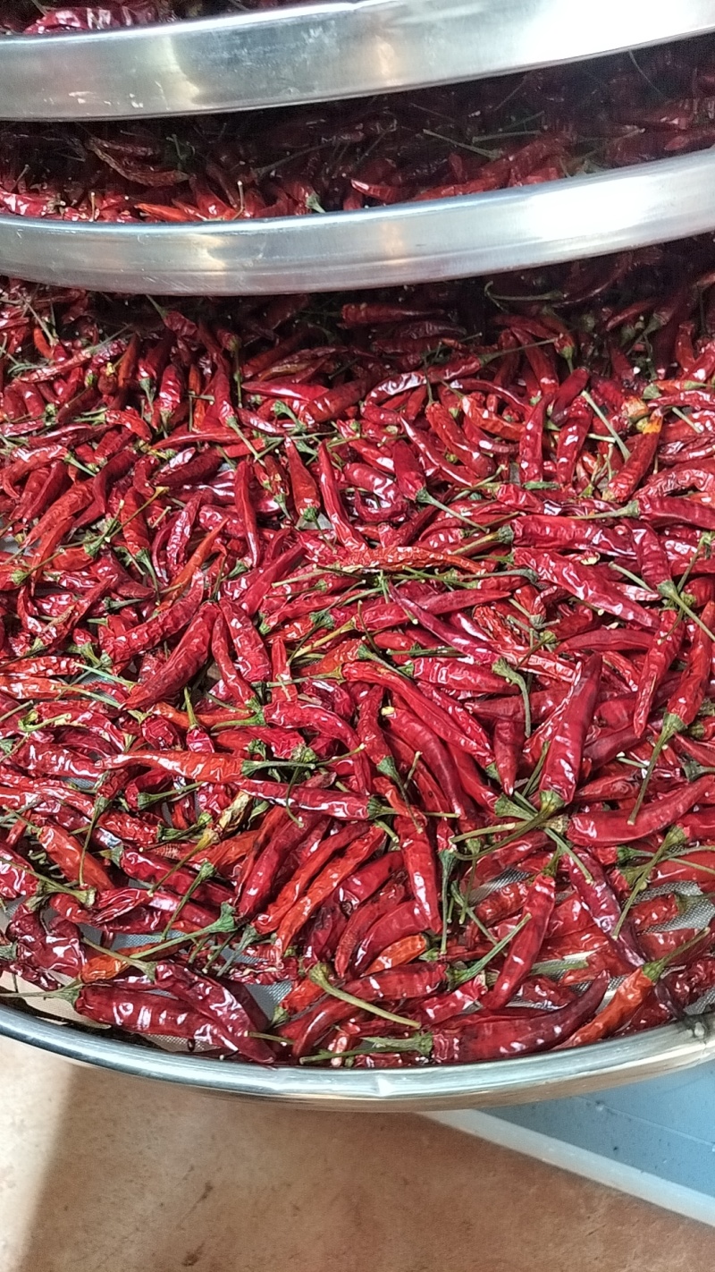 干小米辣