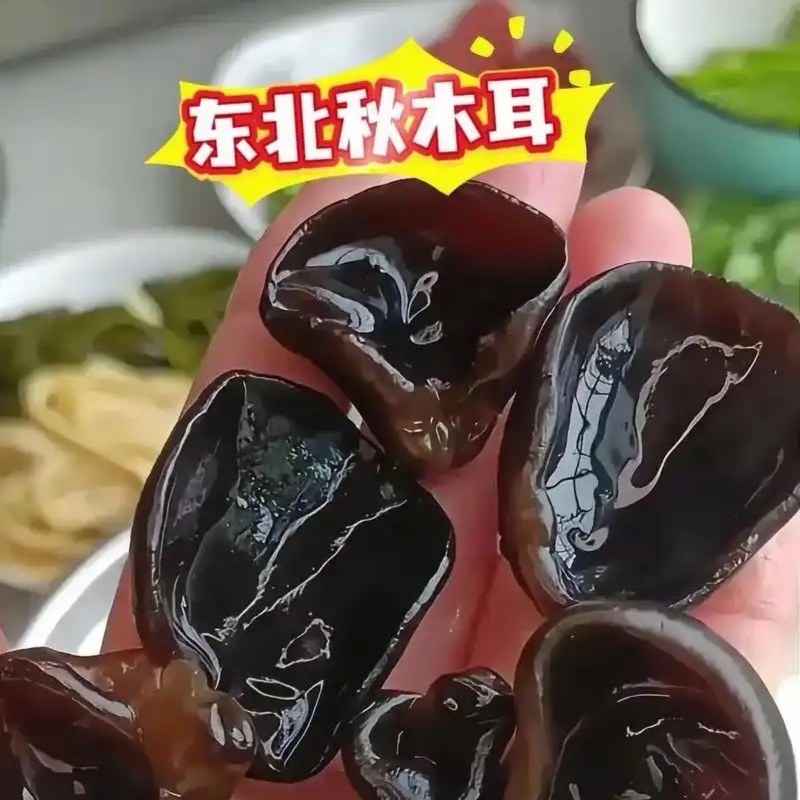 黑木耳，精品秋耳黑厚无根对接商超批发市场供货量大从优！