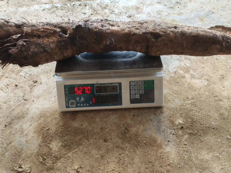精品葛根粉，品质保证价格优惠实力商家，产地直发