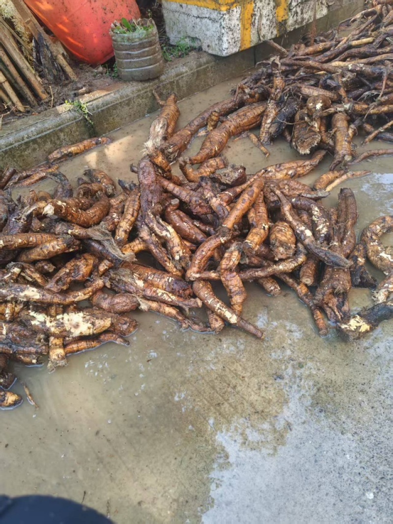 精品葛根粉，品质保证价格优惠实力商家，产地直发