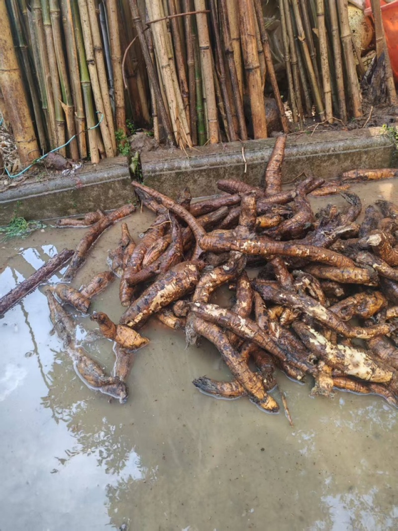 精品葛根粉，品质保证价格优惠实力商家，产地直发