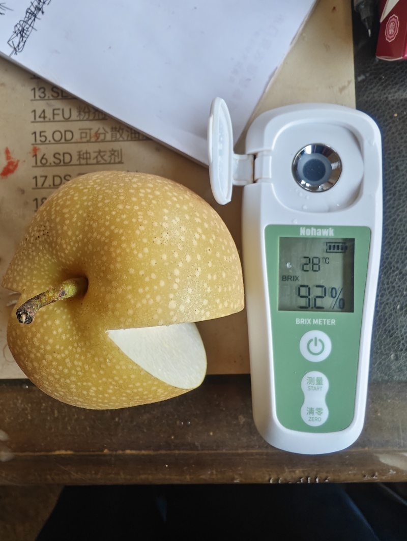 秋月梨量大质量好！有需要的客商联系我！