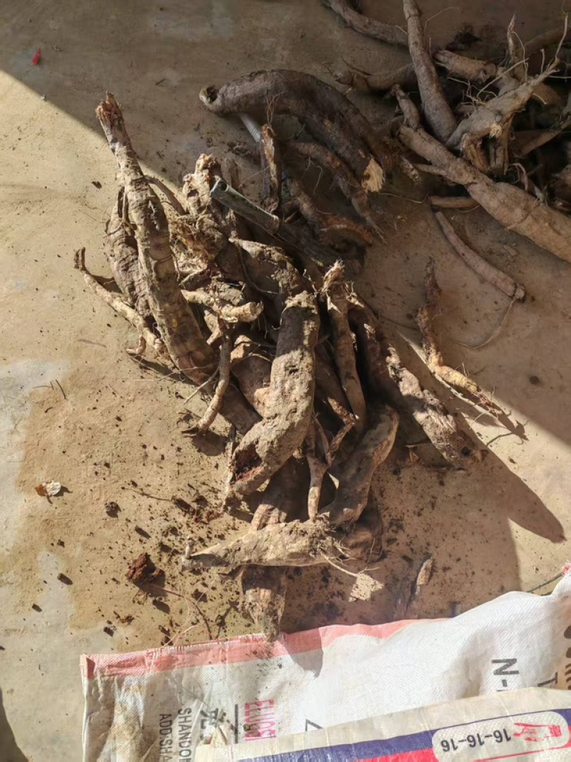 精选葛根产地直发欢迎联系品尝正宗风味，品质保证