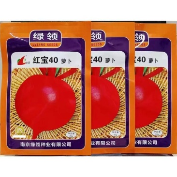 绿领红宝40红圆萝卜种子杂交早熟耐热大红色皮白肉心罗卜