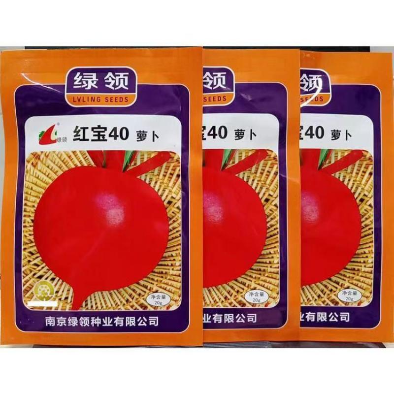 绿领红宝40红圆萝卜种子杂交早熟耐热大红色皮白肉心罗卜