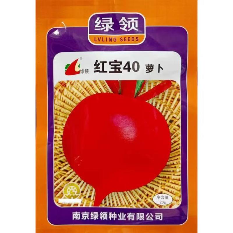 绿领红宝40红圆萝卜种子杂交早熟耐热大红色皮白肉心罗卜