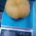 中油蟠桃15口感脆甜!离核!黄肉多汁!个头大,金黄金黄,