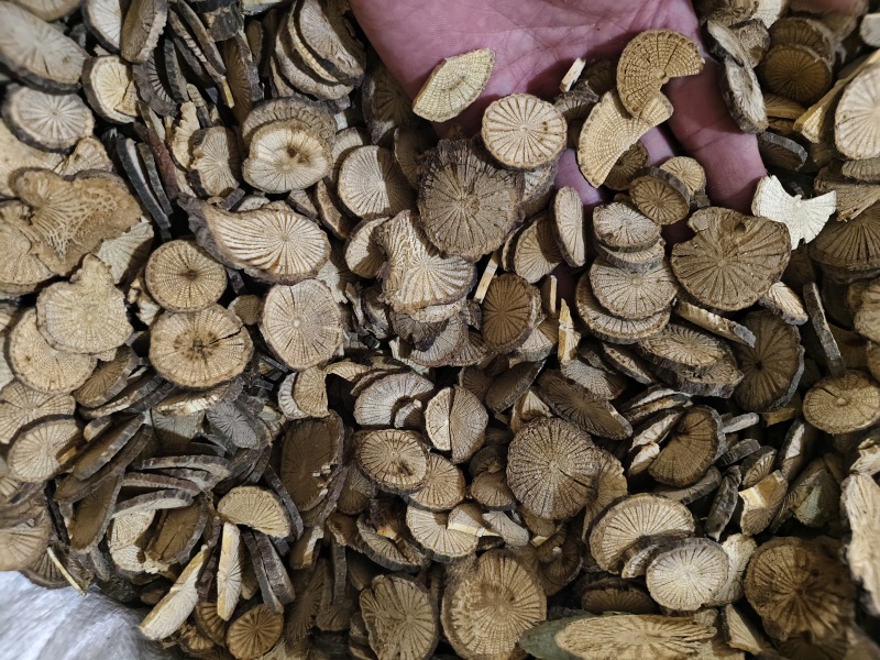 青风藤正品青风藤规格齐全批发零售量大从优