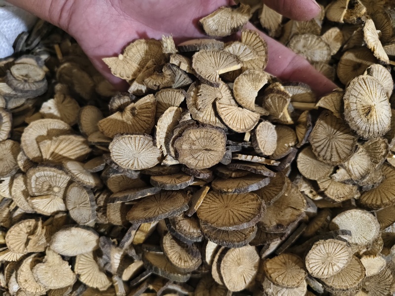 青风藤正品青风藤规格齐全批发零售量大从优