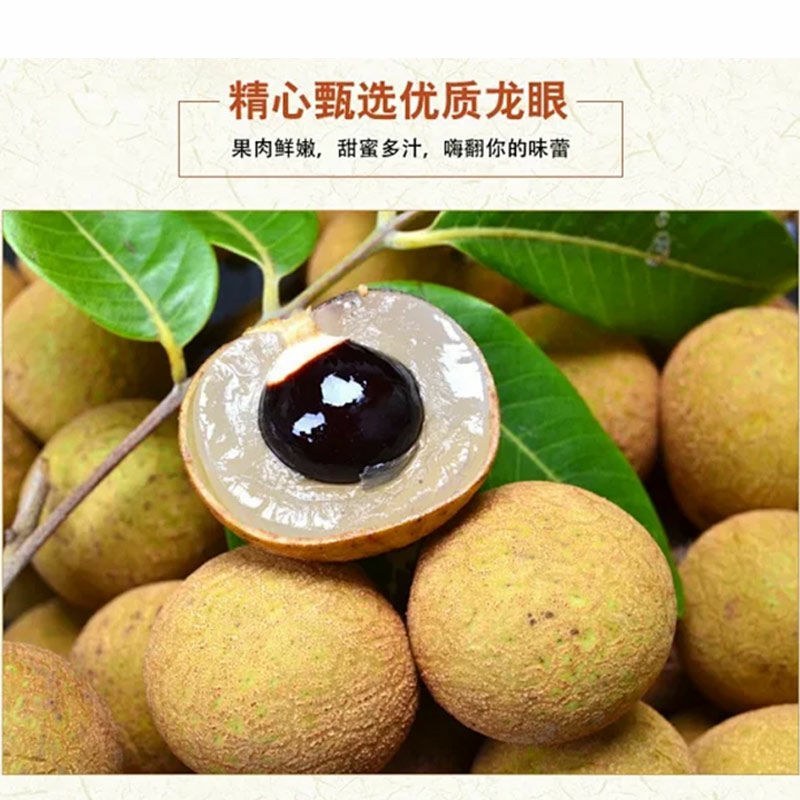 1308495龙眼9558