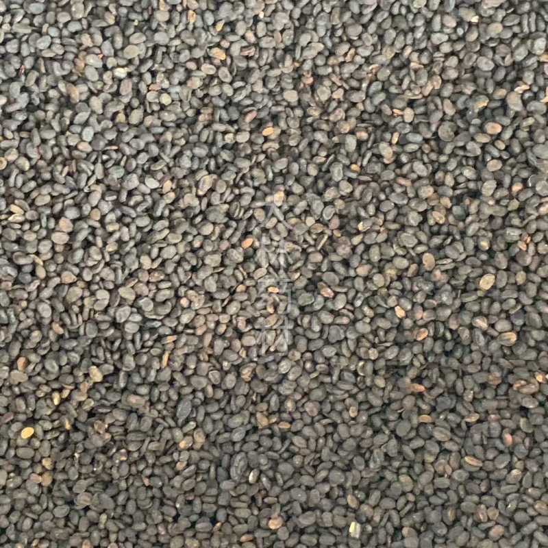 补骨脂【包邮】三斤起发货可批量可零售量大从优