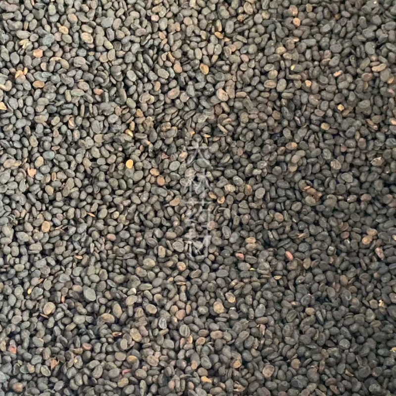 补骨脂【包邮】三斤起发货可批量可零售量大从优