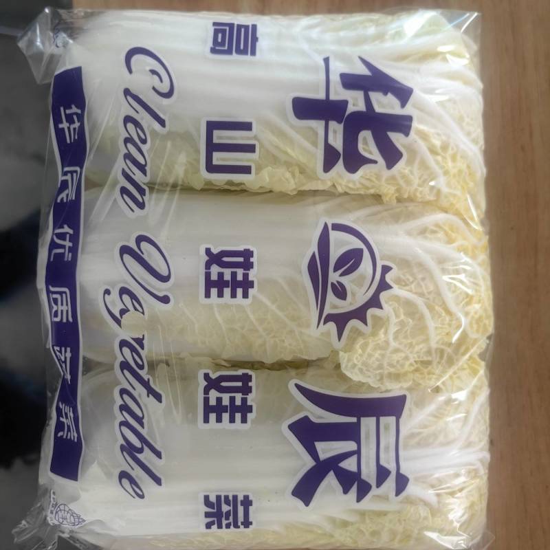 大量供应兰州高原娃娃菜！