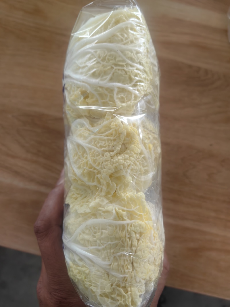 大量供应兰州高原娃娃菜！