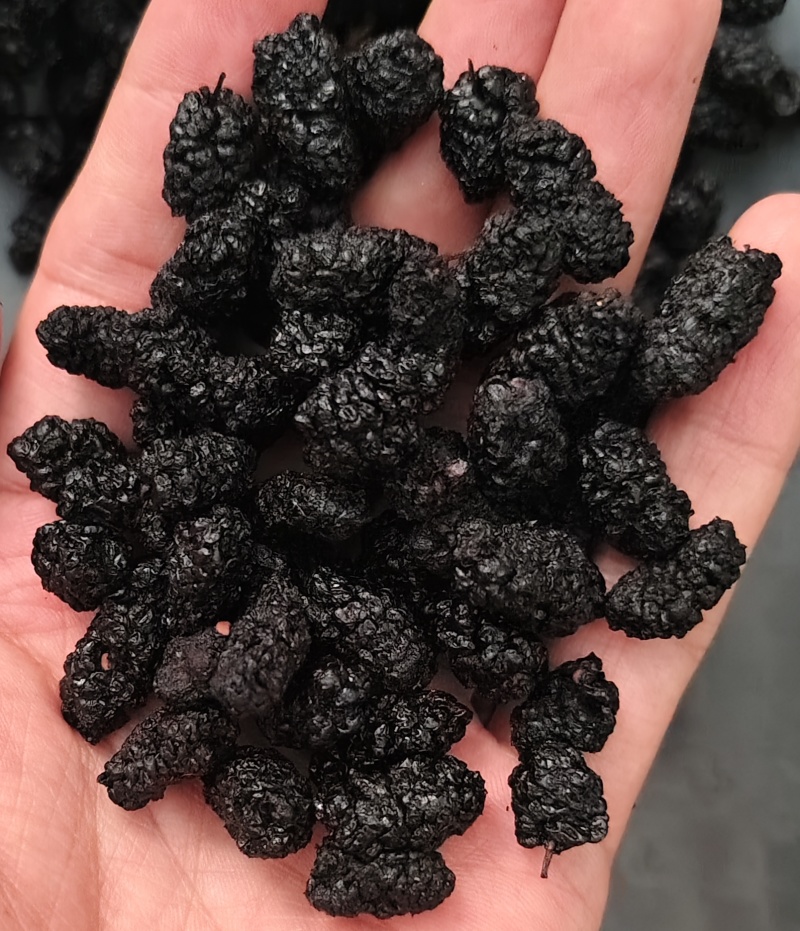 桑椹各种规格桑椹齐全批发零售量大优惠