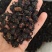桑椹各种规格桑椹齐全批发零售量大优惠